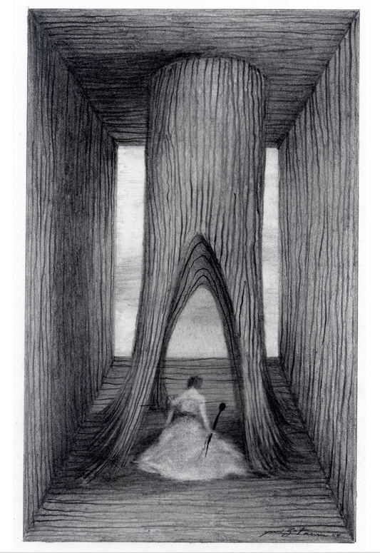 Colección La madera del árbol