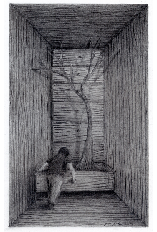 Colección La madera del árbol