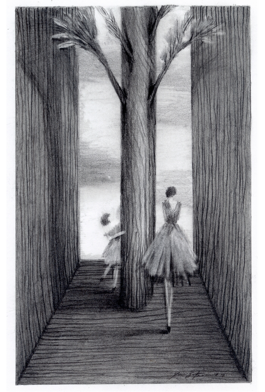 Colección La madera del árbol